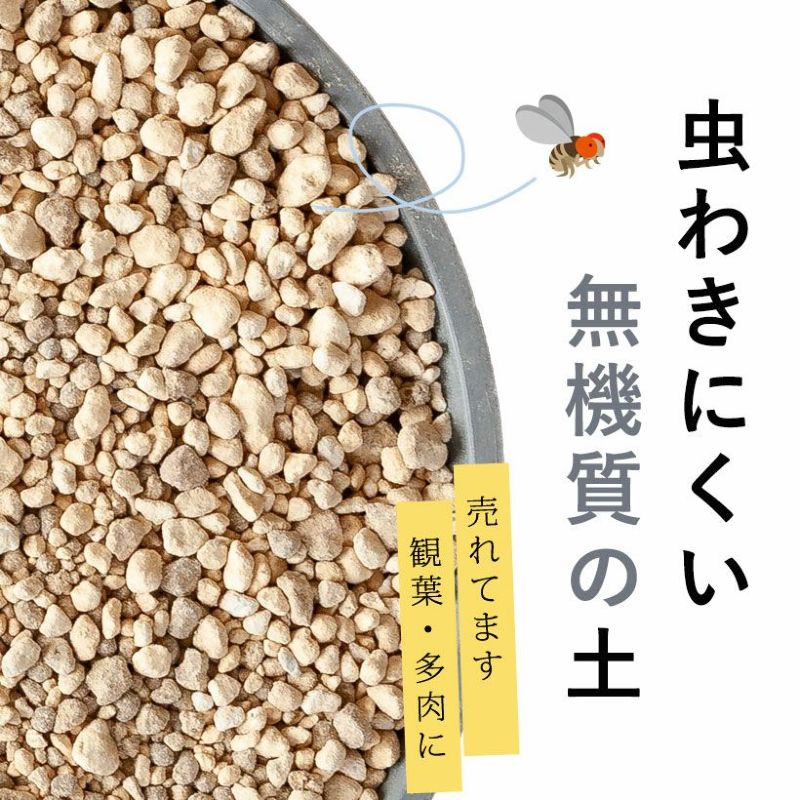 楽天市場】観葉植物＆多肉植物の土（虫が出にくい無機質用土） 観葉