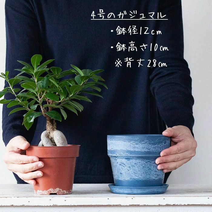 値下げ アメリカ鉢 生花 観葉植物 植木鉢 プランター 花瓶 おしゃれ たんぽぽ 青 予約販売品 Smartcpns Com