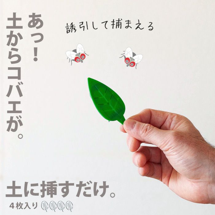 土からわいたコバエに!挿すだけ簡単、粘着剤