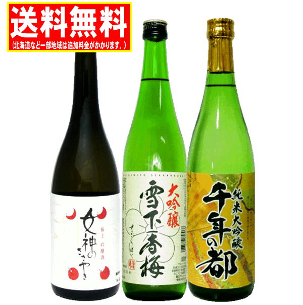 楽天市場】送料無料 日本酒飲みくらべギフトB 1800ml(1.8L)×3本(純米大吟醸・大吟醸・吟醸) 贈答用 御祝 内祝 ギフト 贈り物 :  リカーズ アルマ