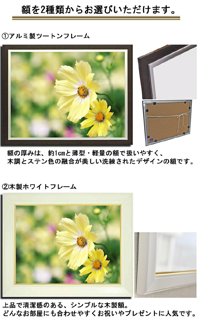 美しい 壁掛けアート アートパネル 風景画 フォトグラファー Y2 Hiro 写真 額縁付き コスモス 秋桜 二連 植物 緑 黄色 自然 秋 母の日 花 ギフト インテリア雑貨 キャンバスジグレー版画 Mediquickfl Com