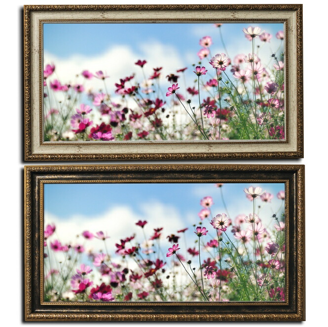 壁掛けアート アートパネル 風景画 フォトグラファー y2-hiro 写真 ワイド 額縁付き コスモス 秋桜 植物 緑 ピンク 白 自然 秋 母の日  花 ギフト インテリア雑貨 キャンバスジグレー版画 最大69％オフ！