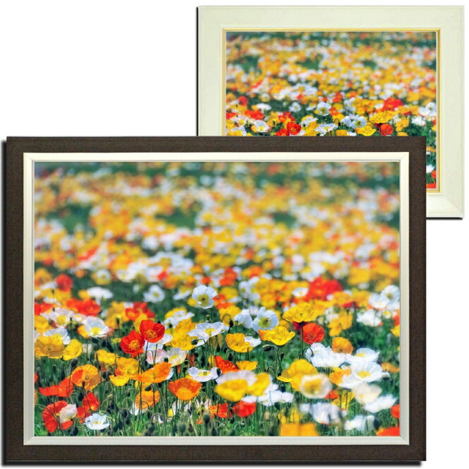 壁掛けアート アートパネル 風景画 フォトグラファー y2-hiro 写真 額縁付き ポピー 花畑 植物 オレンジ 黄 自然 母の日 花 ギフト インテリア雑貨 キャンバスジグレー版画
