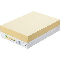 TPS αエコカラーペーパーII B4 クリーム 1セット(2500枚:500枚x5冊)(4522701013029 x5) 目安在庫\u003d○