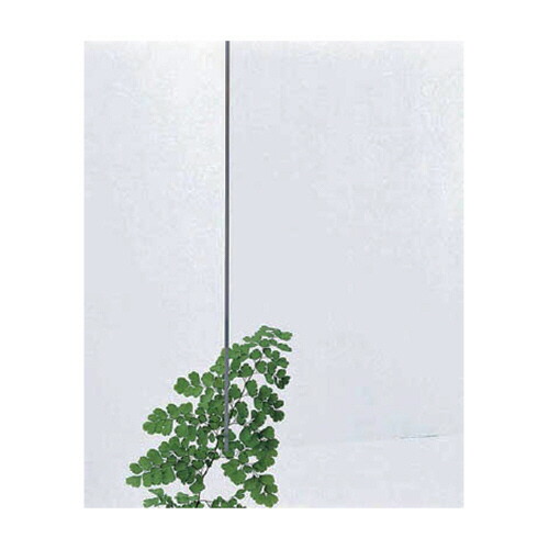 光 アクリルキャスト板 透明 約930×1860×2mm 1枚(KAC9182-1) 目安在庫=○|いぃべあー 店