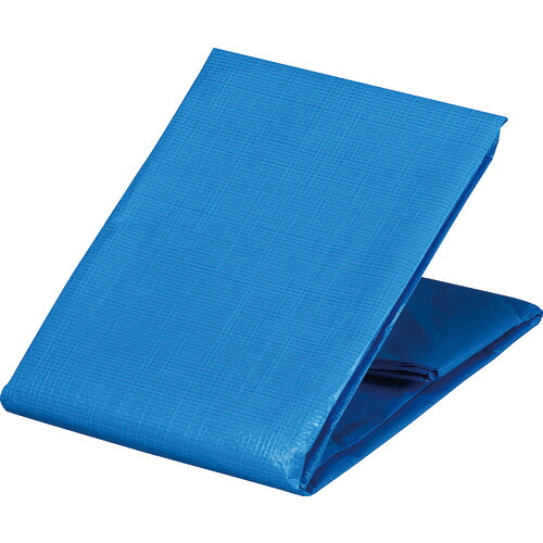 ＴＲＵＳＣＯ 防炎ブルーシート #2500 10.0m×10.0m 1枚(BSR-100100) 目安在庫\u003d○