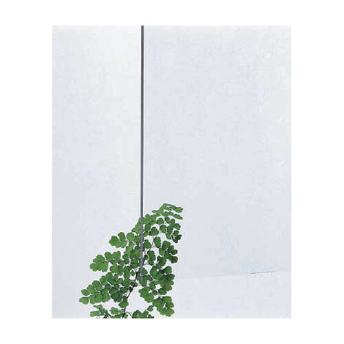 光 アクリルキャスト板 白 2×600×900 穴ナシ 1枚(AC68-269) 目安在庫\u003d○