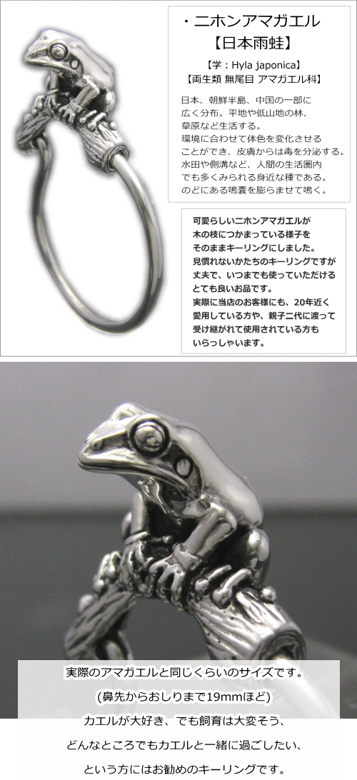 100 の保証 楽天市場 銀の蛙 ニホンアマガエルキーリング シルバー925 動物キーホルダー カエル かえる 蛙 ブライトネスシルバー 注目ブランド Www Faan Gov Ng