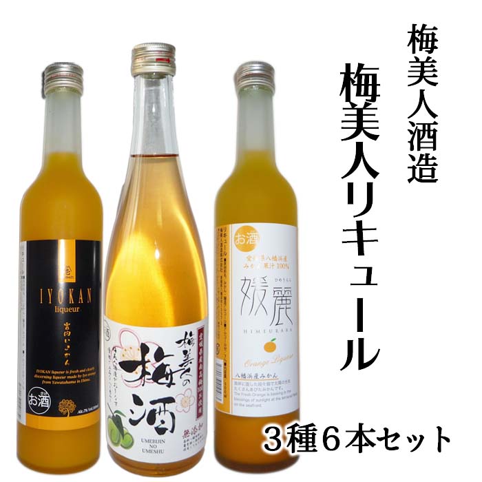 信憑 蔵元の梅酒 6 500ml 栄光酒造 19限定5％OFFクーポン配布中