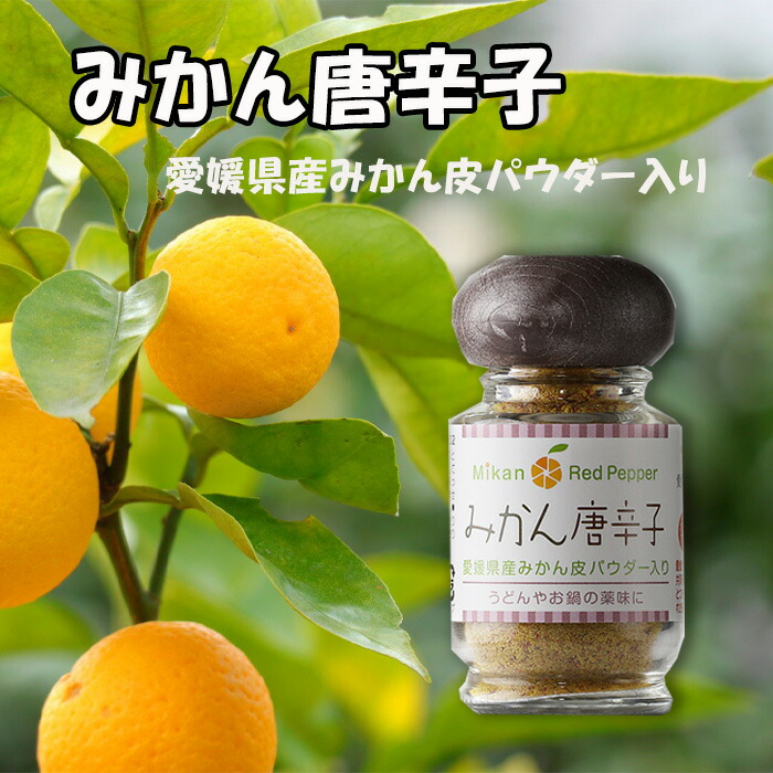 みかん 送料無料 和歌山県産下津 硲 みかん Lサイズ 約2.5kg 和歌山 2.5