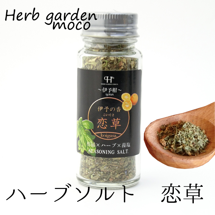 楽天市場 500円offクーポン配布中 愛媛ハーブ 株 ハーブソルト恋草 愛ある愛媛いいよかん