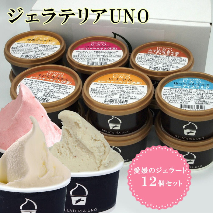 ジェラテリアUNO(アヴァンジェラート(株) 愛媛のジェラート12個セット 贈答用 お中元 御中元 プレゼント ギフト 御祝