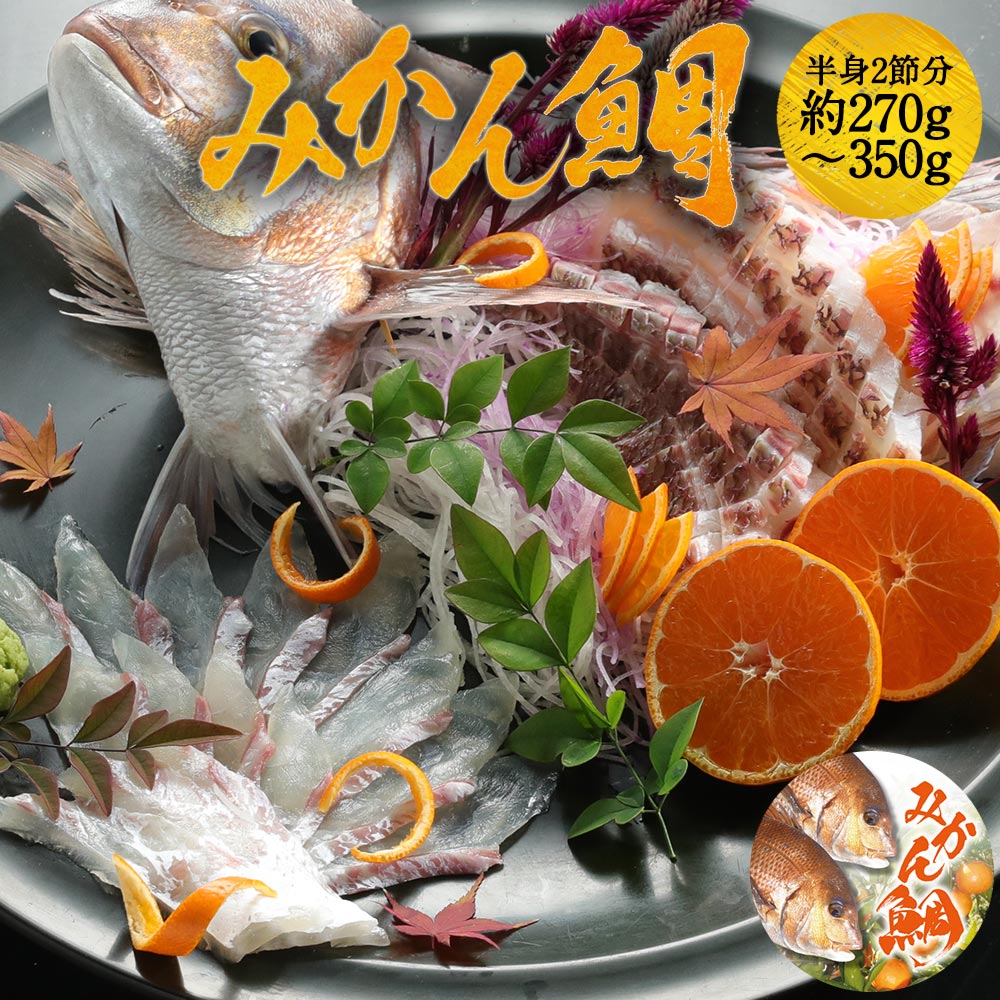 楽天市場】宇和島プロジェクト みかん鯛 お刺身の柵4節（1尾分