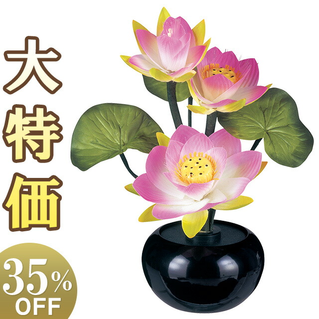 Luminous 胡蝶蘭DX LED光触媒 ルミナスアレンジ胡蝶蘭 DX光触媒 ｜人形の伏見屋