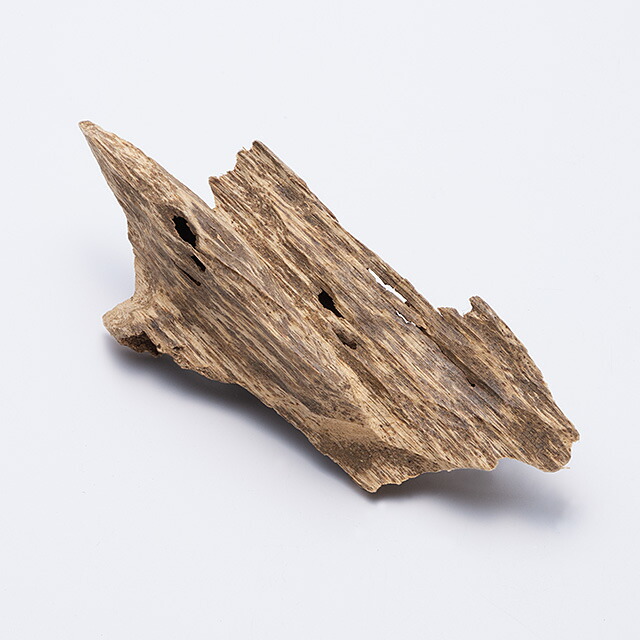 値下げ【極品タニ沈香112.32g 伽羅 寸門多羅 真南蛮 真奈伽 羅国 極品タニ沈香木 37.4g｜いつき