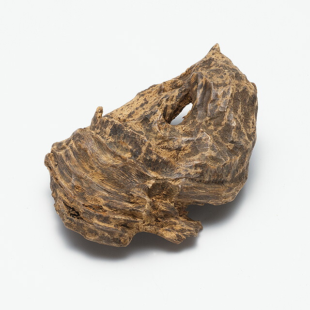 楽天市場】プレミアム沈香(じんこう) 原木姿物 六国「寸門多羅(すも