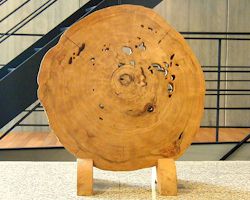 楽天市場】花梨瘤衝立 9423 唐木家具/衝立/和家具/希少 : 仏壇仏具 KARAKI