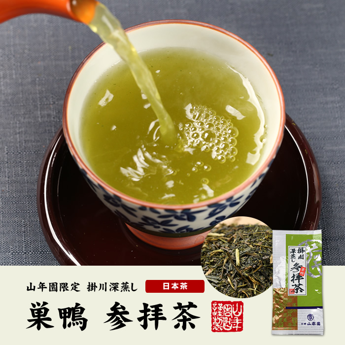 maneen | 日本乐天市场: 日本茶和茶树叶巢鸭探
