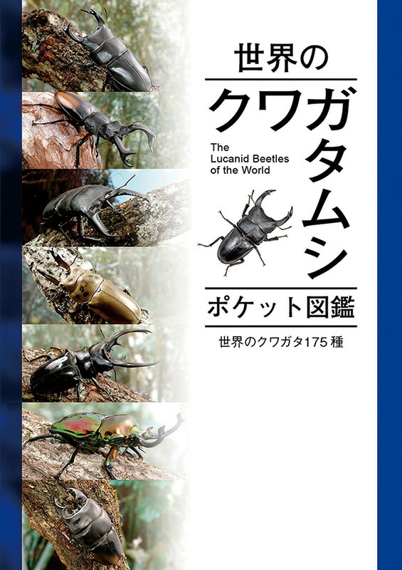 楽天市場】送料無料!世界のクワガタムシ大図鑑 新品 むし社発行
