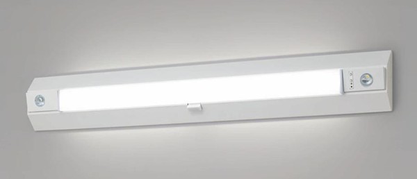 NNCF43635JLE9 パナソニック 階段通路誘導灯・非常用照明器具・一体型階段灯 40形 LED(昼白色)