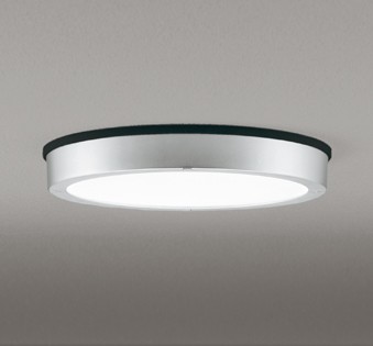 OG254811R オーデリック 軒下専用ポーチライト シルバー LED(昼白色)
