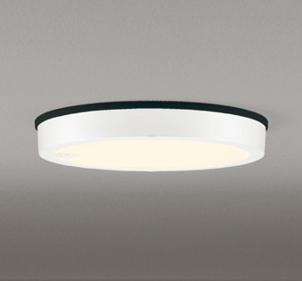 OG254814R オーデリック 軒下専用ポーチライト ホワイト LED(電球色)|コネクト オンライン