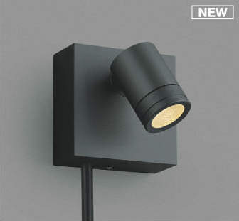 AU92269 コイズミ DC24V屋外用スポットライト ブラック 中角 LED（電球色） 中角