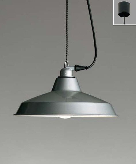 ERP7234SB 遠藤照明 ペンダントライト シルバー ランプ別売