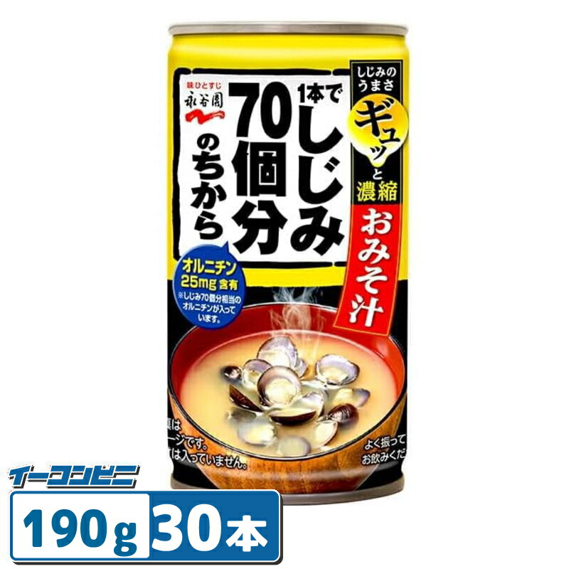 JUNICHI　送料分 Binich（ビニッチ） 三角 トライアングル ネックレス モノトーン バイ