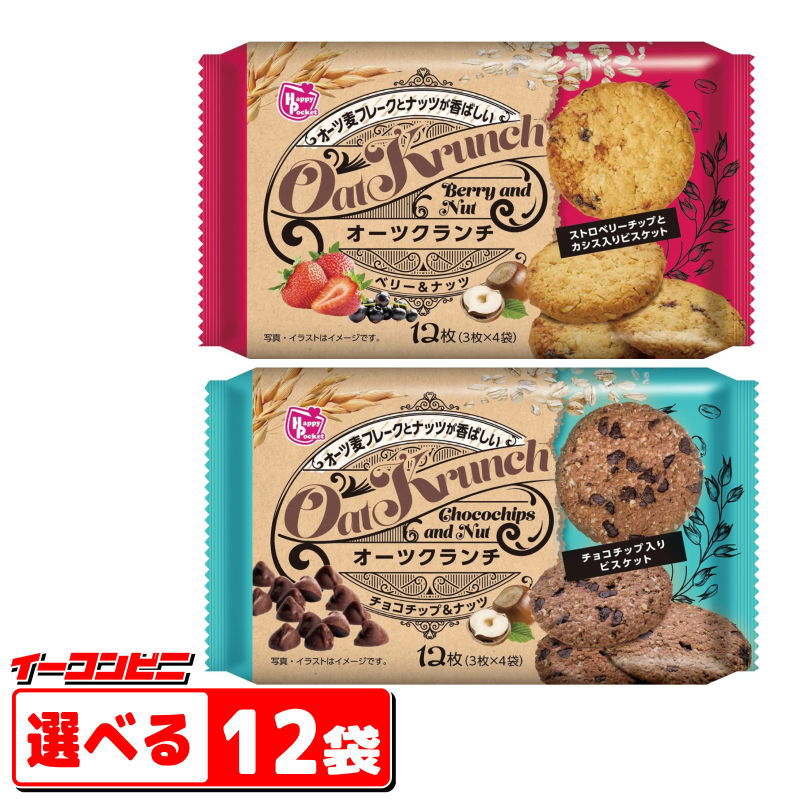 【お得‼️お菓子詰め合わせ】チョコ ブラウニー クッキー チップスター 楽天市場】ミスターイトウ アメリカンソフトクッキー／ソフト