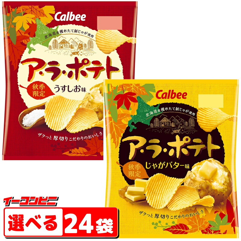 楽天市場】カルビー ポテトチップス BIGBAG(ビック・ビッグ) 152g うすしお味 1ケース(12袋)【送料無料(沖縄・離島除く)】 :  イーコンビニ