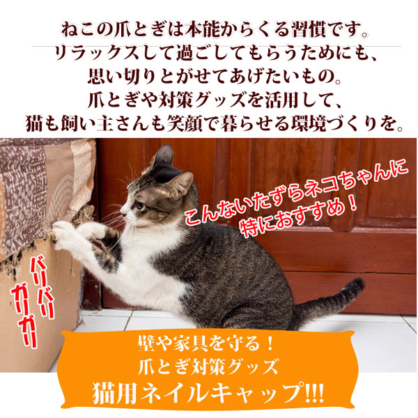 楽天市場 動画あり 猫用ソフトネイルキャップ ネイルカバー 個セット 専用接着剤 説明書付き Xs Lサイズ 1000円ポッキリ 送料無料 メール便送料無料 代引不可 特価セール 3セット購入で 1セット無料 猫 爪 キャップ ネイル Rcp ペット用品と