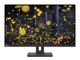 ★レノボ / Lenovo ThinkVision E27q-20 62D0GAR1JP [27in 黒]【マイコン管する・液晶見せびらかす】【貨物輸送無料】