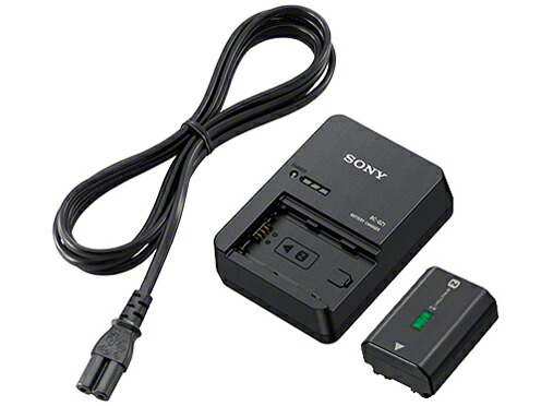 ★ソニー / SONY 付属品一揃いの道具 ACC-QZ1K【写真機 蓄電池】【貨物輸送無料】