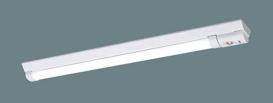 【法人様限定】パナソニック　XWG452AGNJ LE9　非常用LEDベースライト 直付 40形 30分間タイプ 防湿・防雨型 Dスタイル Hf32×2灯相当 昼白色