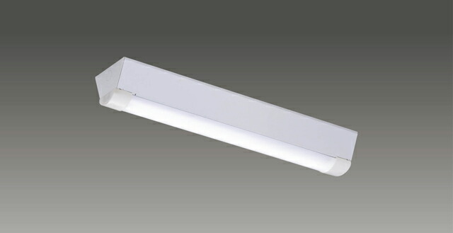 【法人様限定】東芝　LEKTW212084SN-LS9　ＴＥＮＱＯＯ直付２０形Ｗ１２０ＳＵＳ【LEET-21204WS + LEEM-20084N-WP-LS9】