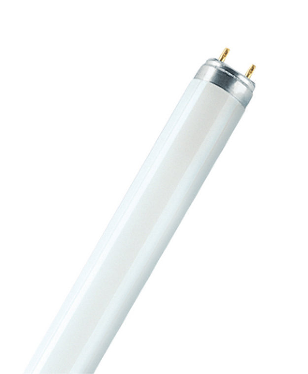 【法人様限定商品】OSRAM LUMILUX T8 L 58W/840 蛍光ランプ