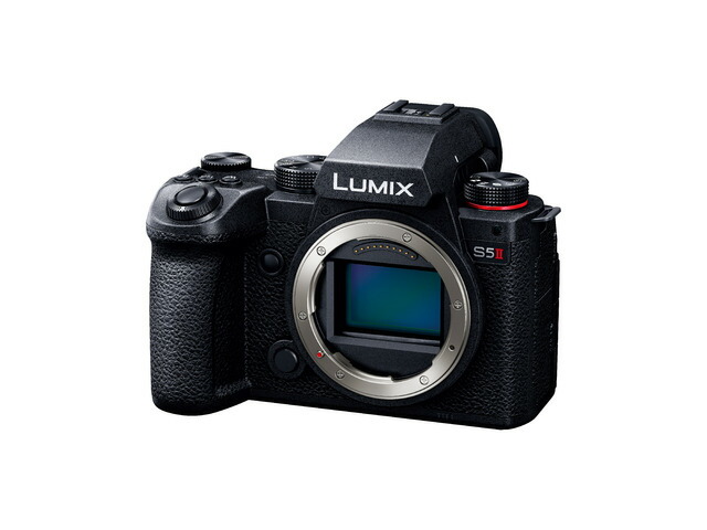 デジタルカメラ パナソニック LUMIX 新開発フルサイズセンサー 新世代ヴィーナスエンジン搭載 K(ブラック) デジタル一眼カメラ／ボディ DC-S5M2｜ｅでんでん店