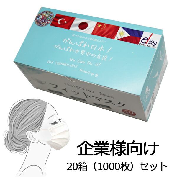 マスク 不織布 マスク 1000枚 感染予防 感染症対策