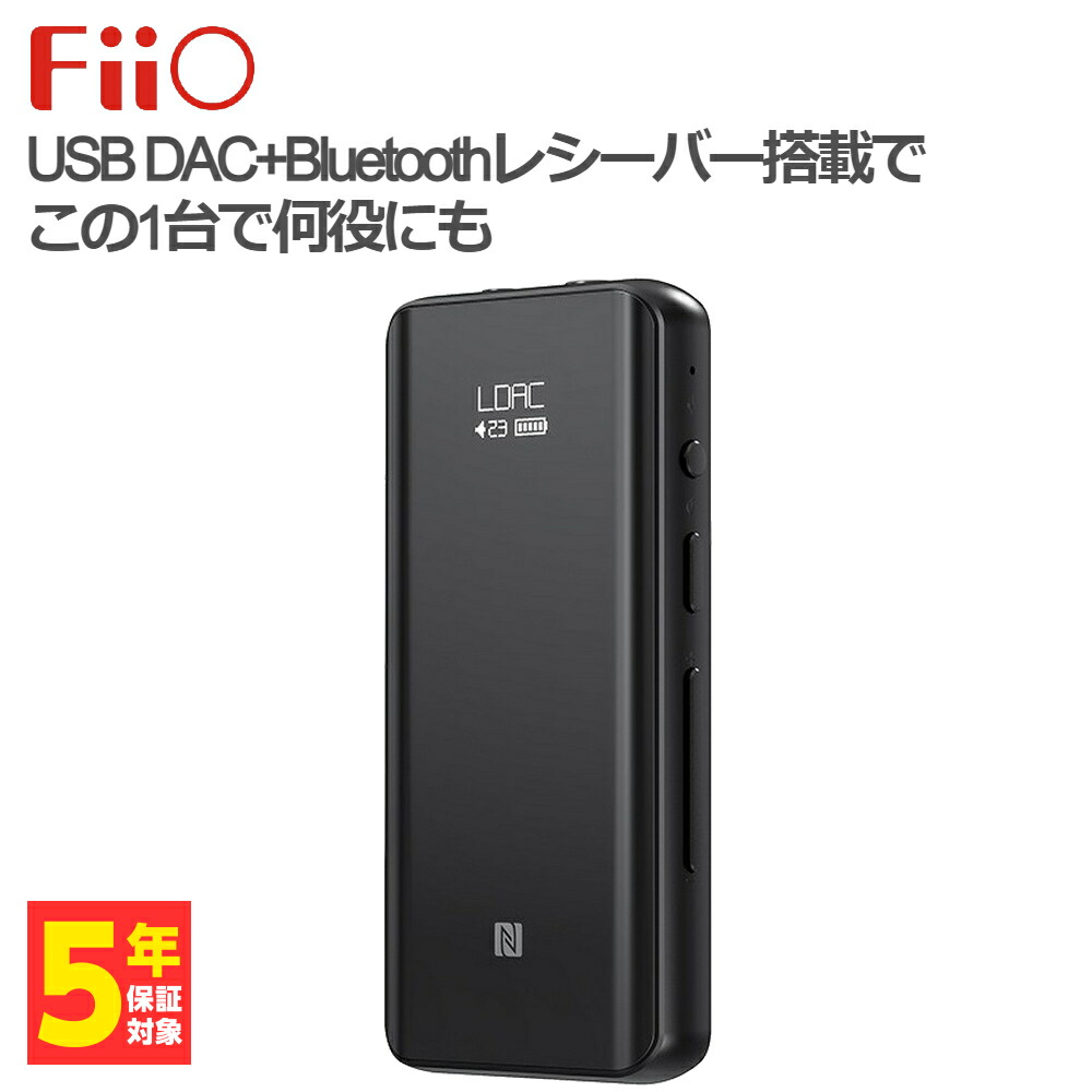 ◇◇ iFi-Audio アイファイオーディオ GO blu 純正ケース付