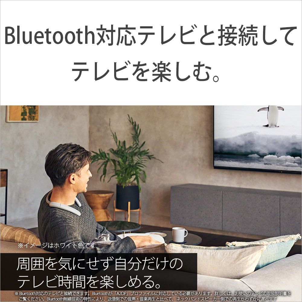 SONY ソニー Bluetooth HC SRS-NB10 ウェアラブル スピーカー チャコールグレー ワイヤレス 肩掛け 売れ筋ランキング  SRS-NB10
