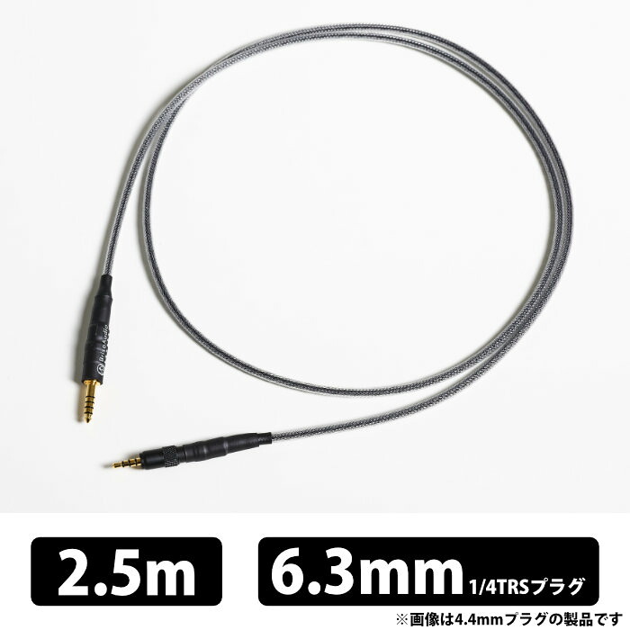 【7/25限定★抽選で最大100%ポイントバック！(要エントリー)】(お取り寄せ) Brise Audio BSHP for MV1 V2 Φ6.3mm 1/4TRSプラグ 2.5m BSHPMV1V2-25-363 ヘッドホンケーブル 高機能高純度銅導体 Quad Spiral構造 特殊高機能樹脂 ブリスオーディオ【グループH】｜ｅイヤホン店