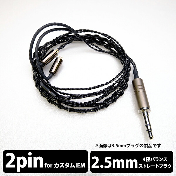 【CIEM Flat 2Pin/2.5mm】 e☆イヤホン・ラボ Obsidian CIEM Flat 2Pin-2.5mm(イヤループ仕様) 120cm ケーブル イヤホンケーブル リケーブル eイヤホンラボ【送料無料】 【グループC】｜ｅイヤホン店