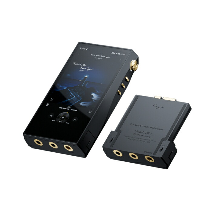 (4月10日発売予定) Cayin N6iii/T201【SPK-A006-T201】 デジタルオーディオプレーヤー DAP プレイヤー オーディオ・マザーボード DAC Bluetooth 5.0 LDAC 3.5mm 4.4mm バランス接続 アンドロイド AK4497S カイン