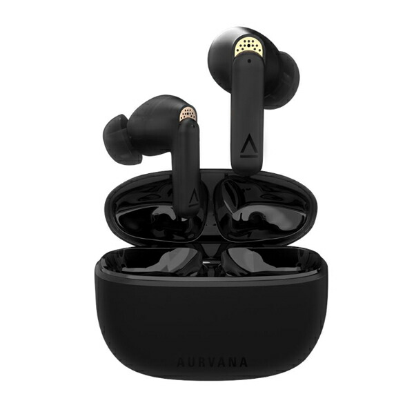 楽天市場】HIFIMAN Svanar Wireless LE ハイファイマン ワイヤレス