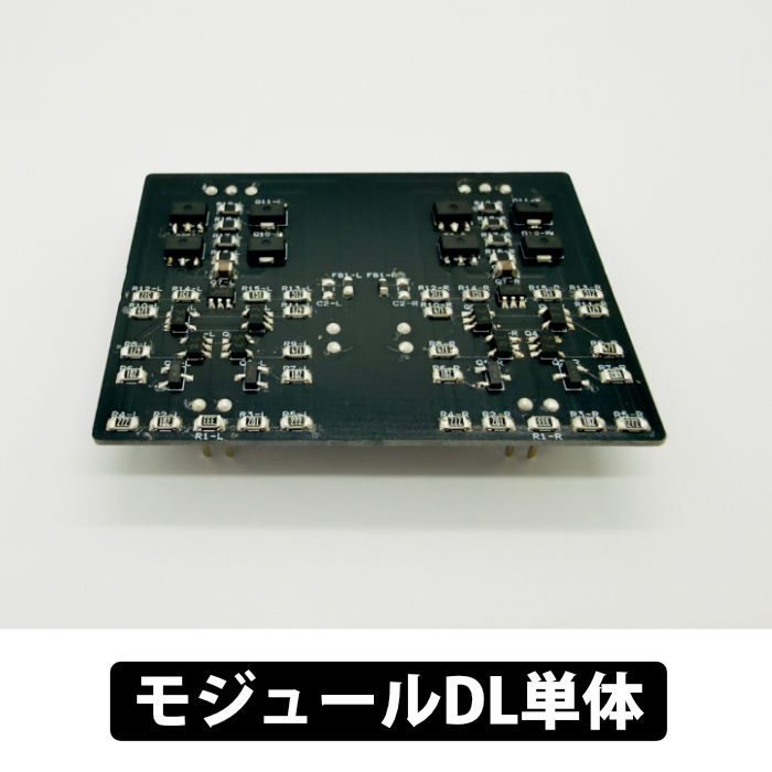 e☆イヤホン・ラボ Riccia(リシア)専用 モジュールDL単体 専用モジュール 交換用モジュール 超低歪回路 ローバイアス S/N イーイヤホンラボ