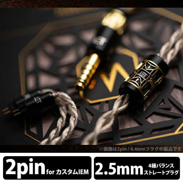 (お取り寄せ) ELETECH Sonnet of Adam 2pin to 2.5mm Balanced リケーブル用 交換用ケーブル イヤホン ケーブル