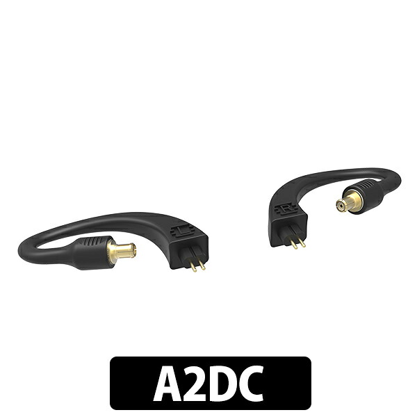 【4/15限定★抽選で最大100%ポイントバック！(要エントリー)】iFi-Audio GO pod Ear Loop A2DC アイファイオーディオ (送料無料)