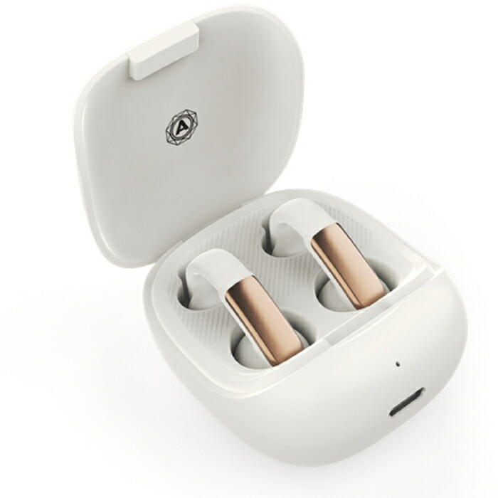 楽天市場】NAGAOKA フック可動式オープンイヤー型完全ワイヤレス