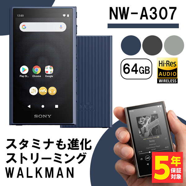 SONY NW-A306 32GB 128GB SDカード入り 純正ケース付き